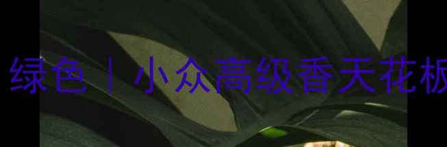 BVLGARI大吉岭茶香水5ml绿色小众高级香天花板通勤约会全场景指南