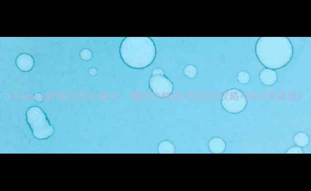 Canmake粉饼日本价格大最新价格表性价比攻略购买渠道全