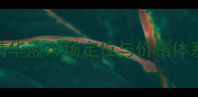 SK-II精华液市场定位与价格体系分析