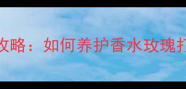 冬季香水玫瑰养殖全攻略如何养护香水玫瑰打造天然香氛护肤秘籍