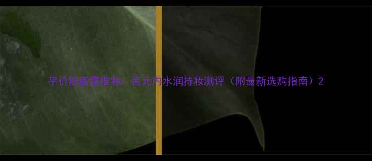 平价粉底霜推荐百元内水润持妆测评附最新选购指南