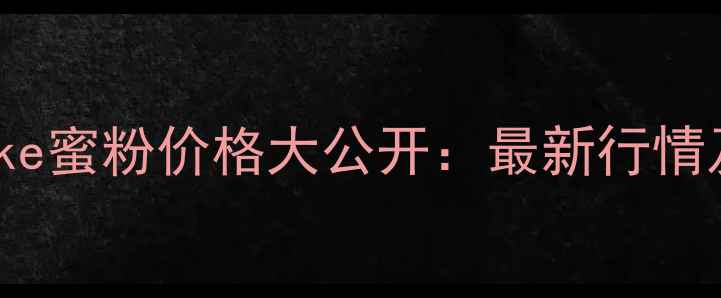 日本canmake蜜粉价格大公开最新行情及购买指南