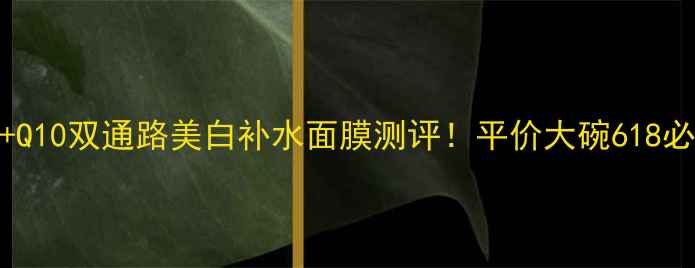 爆款玻尿酸Q10双通路美白补水面膜测评平价大碗618必囤清单TOP1