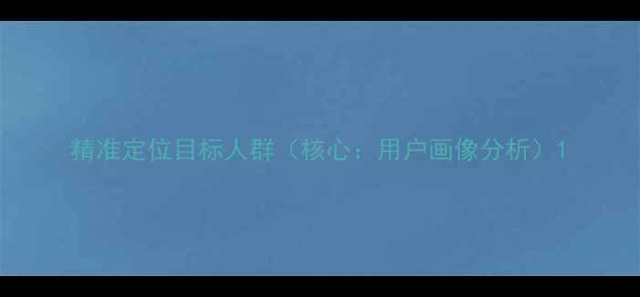 精准定位目标人群核心用户画像分析