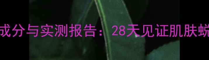 花皙蔻鲜花面膜成分与实测报告28天见证肌肤蜕变的全流程记录