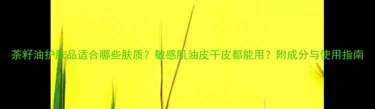茶籽油护肤品适合哪些肤质敏感肌油皮干皮都能用附成分与使用指南