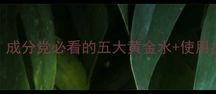 补水护肤品牌口碑推荐成分党必看的五大黄金水使用技巧轻松打造水光肌