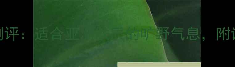 迪奥旷野男士香水深度测评适合亚洲肤质的旷野气息附详细使用指南与避雷提醒