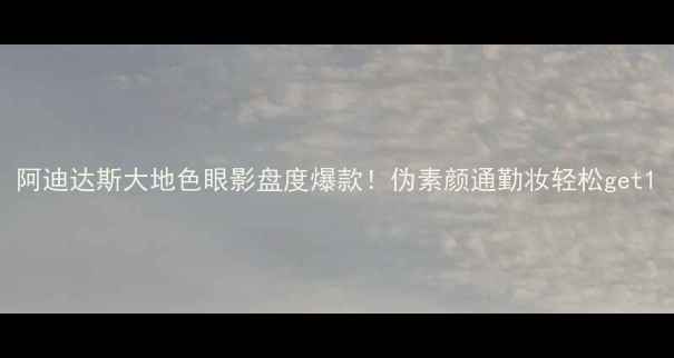 阿迪达斯大地色眼影盘度爆款伪素颜通勤妆轻松get