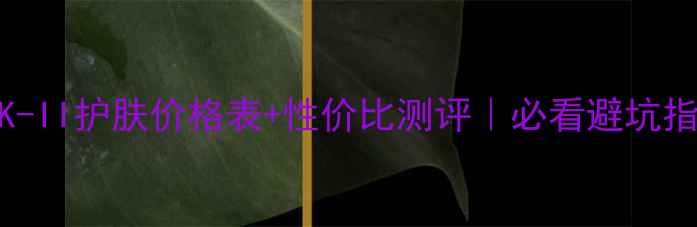 SK-II护肤价格表性价比测评必看避坑指南